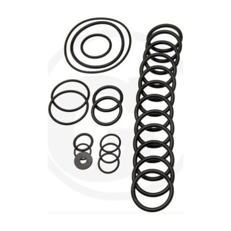 Kit o-ring per pompa a membrana AR560 bp Twin C/C ANNOVI 6702431