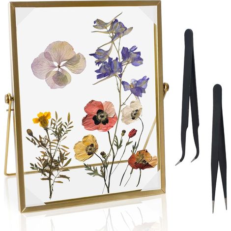 Cadre Doré pour Fleurs Pressées 17 x 22 cm, Cadres Photo Debout en Verre, Cadre Photo en Verre pour Fleurs Pressées, Échantillons de Plantes, Œuvres d'art (1/5)
