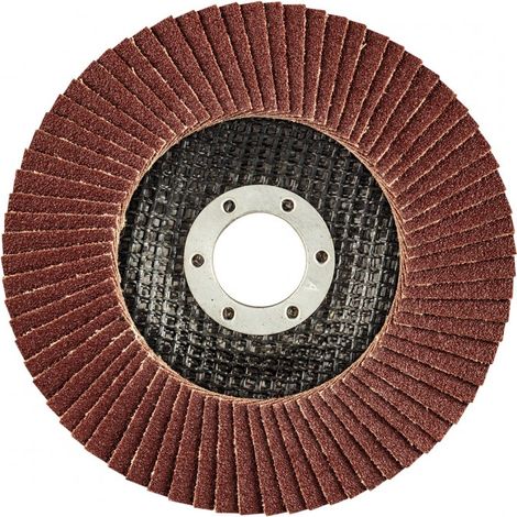 Disco de láminas de 125 x 22,2 mm, K100