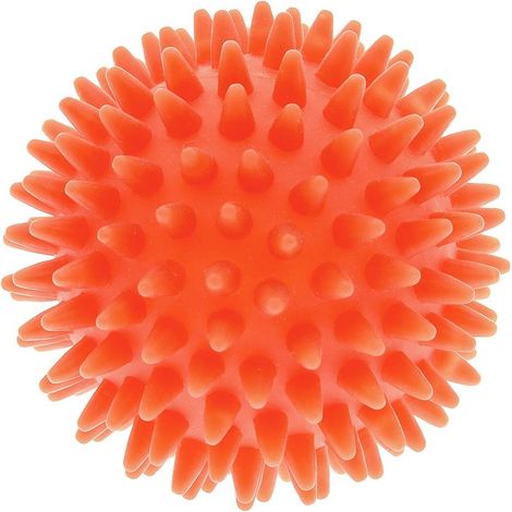 8 cm: Gioco palla riccio in vinile per cani (1/2)