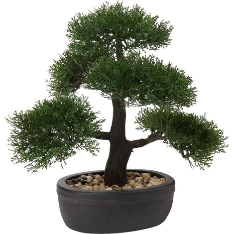 Kunstbonsai Zeder Künstliche Pflanze mit Keramik-Übertopf Schwarz 30 x 36 cm (1/5)