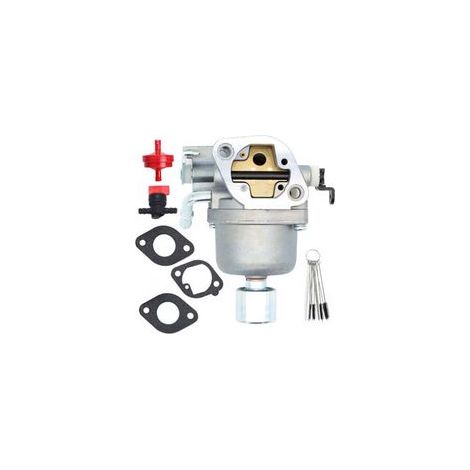 Carburateur compatible Briggs & Stratton 699807 / 697722 – moteur essence (1/5)