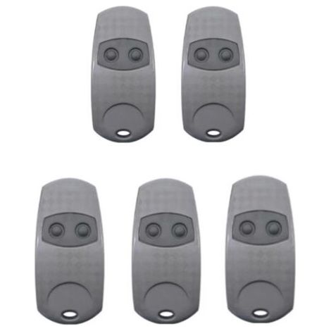 [Pack de télécommandes] TOP432EE [5 télécommandes Came, Portée 100m] (1/3)