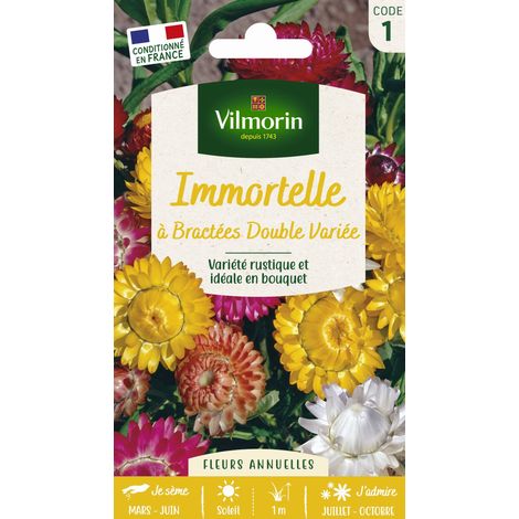 Immortelle à Bractées Double Variée Vilmorin