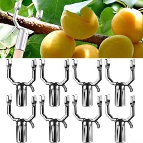 Lot de 8 supports de branche d'arbre fruitier - Support de branche de plante - Support de branche de plante - Outils de décoration - Supports pour piquets d'arbre fruité - Support de branches d'arbre (1/5)