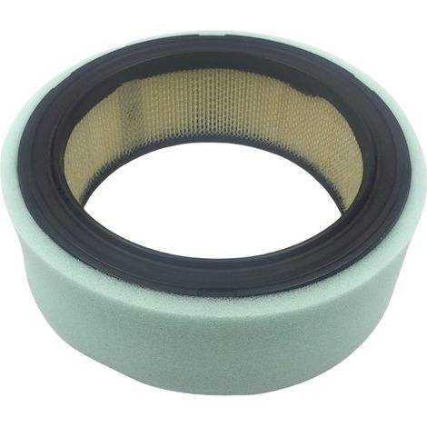 Filtre à air 394018S pour tondeuse jardin (1/2)