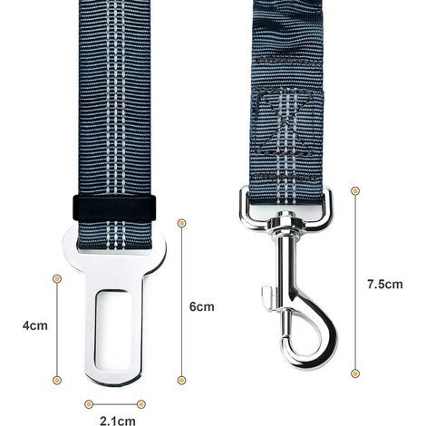 2er-Pack Hunde-Sicherheitsgurte fürs Auto, mit Stoßdämpfung und verstellbarem elastischem Karabiner für Hunde, überlegenes Sicherheitsgeschirr für alle Hunde und Katzen, Grau-RAPANDA (1/5)