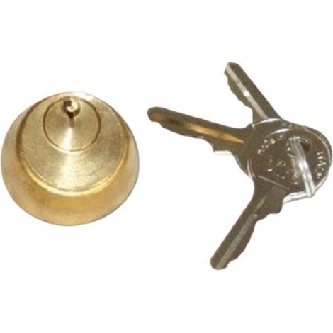 FAAC GENIUS 712651001 Cilindro Interno Elettroserratura N°01