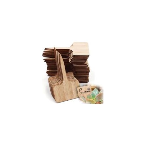 Lot de 50 étiquettes en bambou pour plantes – Résistantes aux UV – Marqueurs T-Type pour jardin potager et pépinières (1/5)