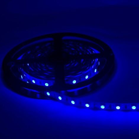Ruban LED 12V 5M BLEU IP54 SMD 2835 60LED/m - SILUMEN