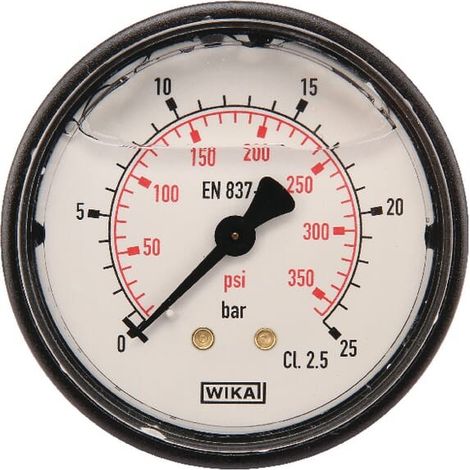 Manomètre WIKA MA6325B04PLGF (1/2)