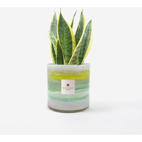 Sansevieria vaso vetro decorato a mano Made in Italy Tramonto H 15 - Multicolore 1