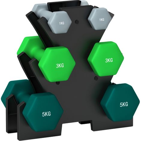 Set di manubri composto da 6 manubri con supporto, 2 x 1 kg, 2 x 3 kg, 2 x 5 kg. Set di manubri in metallo per fitness, ginnastica, casa e palestra. (1/5)
