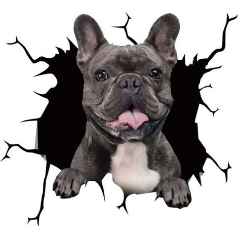 (20 cm x 20 cm) 4 autocollants de voiture représentant un chien, autocollants 3D Labrador Persona