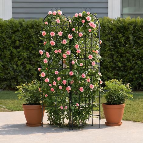 Treillis métallique noir 2 pièces pour plantes grimpantes 71 cm (1/5)