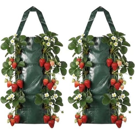 Sac de Plantation Fraises, 2 Pièces Culture à Fraises Suspendu avec 8 Trous, Tour Fraise, Potager Vertical pour Légumes, Fleurs, 70 × 60 25 cm, PE - (1/5)