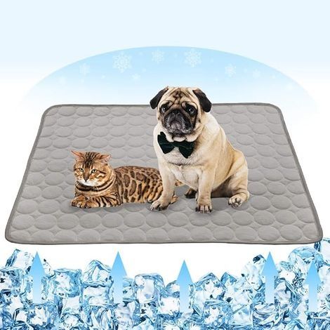 Tapis rafraîchissant d'été pour chiens et chats, en soie glacée, tapis rafraîchissant pour chien, respirant, portable et lavable, couverture rafraîchissante pour animaux de compagnie ( (1/5)