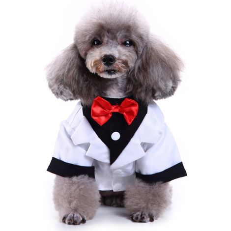 1 chemise pour chien, smoking blanc, polyester, ajustable par bouton-pression, pour mariage et fête, convient aussi aux chats (1/5)