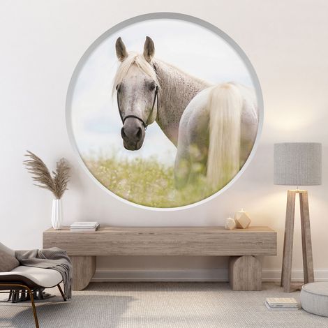 Stickers Trompe l'oeil Arche ronde - Cheval - Diamètre 30 cm (1/4)