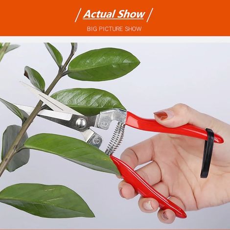 Vensio - Ciseaux de jardinage professionnels droits, sécateur d'élagage en acier inoxydable, ciseaux de précision pour tailler les herbes, fleurs et bonsaïs, sécateur à main ergonomique à ressort, rou (1/5)