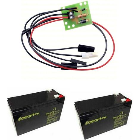 Pacco Batterie Batteria Tampone Caricabatteria Ekos M2 24v Dieffematic