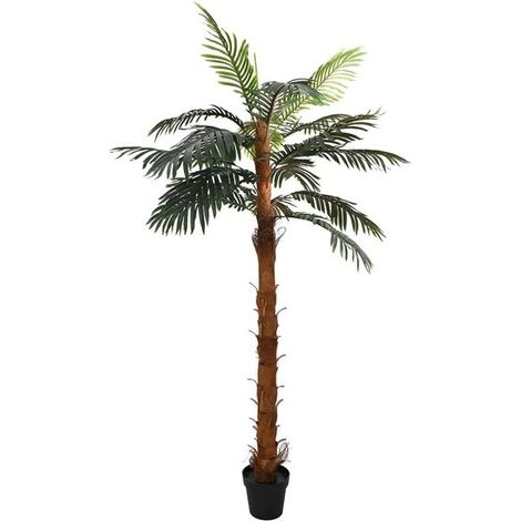 Cocotier artificiel, vert, 70 x 20 x 200 cm (1/5)