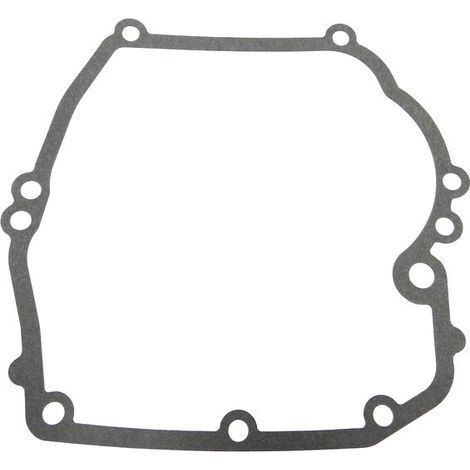 Joint carter moteur Briggs Stratton Quantum serie 625 à 675