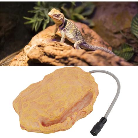 Appareils chauffants pour reptiles, thermorégulation, maintien de la chaleur, lézards des rochers, geckos, serpents, tortues, 12 V, tension de sécurité, norme européenne 100-240 V (1/5)