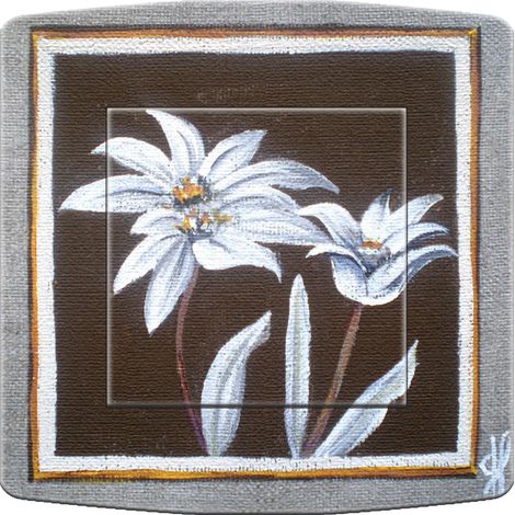 Interrupteur décoré edelweiss 1