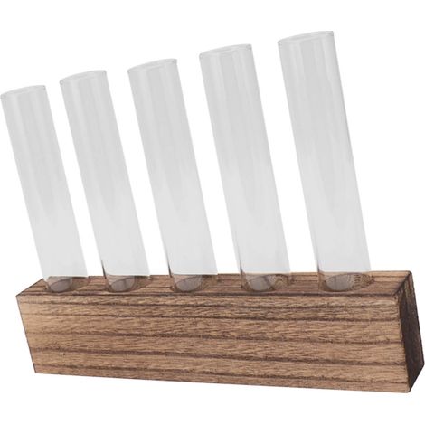 Verre Station de Multiplication de Plantes Tubes de Propagation Terrarium de Bureau Avec Support en Bois Mini Tube à Essai Décoration Maison 5 Tubes (1/5)