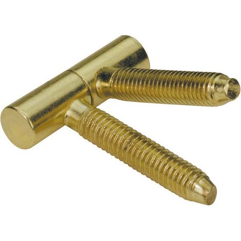 Hettich – Lot de 2 fiches à visser – Acier zingué – H.39 x L.13 mm – Fixation pour porte – Bichromaté