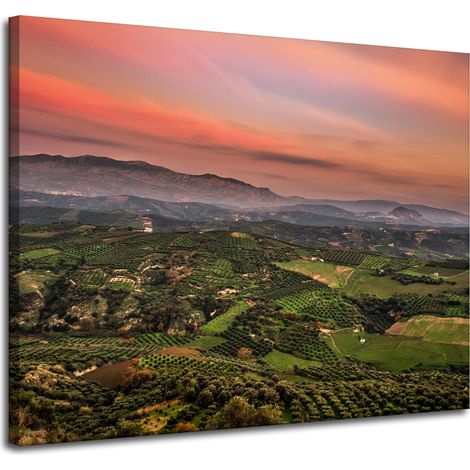 Leinwanddruck Naturpanorama des Hochlands 100x80 cm