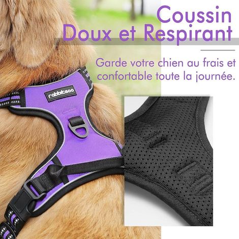 Harnais anti-traction Rabbitgoo M violet, réglable et réfléchissant avec attache avant pour chiens (1/5)