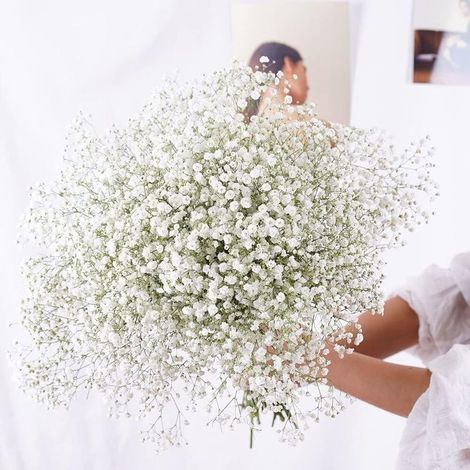Fleurs séchées naturelles, bouquet de gypsophiles paniculées pour fête de mariage, décoration de la maison (blanc, 15 à 30 cm, 20 g)