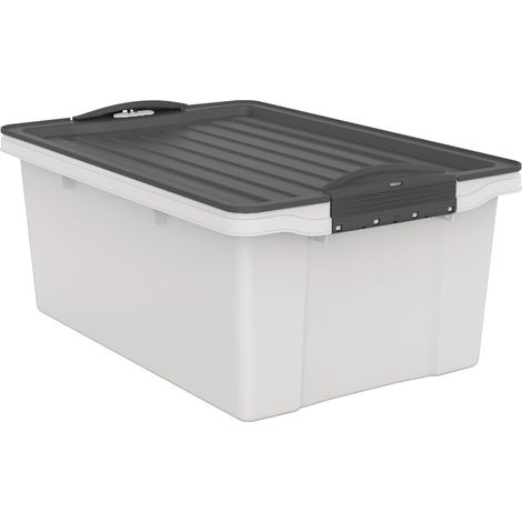 Rotho Aufbewahrungsbox Compact mit Deckel 39,5 x 27,5 cm 13 L mistletoe weiß