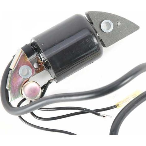 Matijardin – Bobine d'allumage pour moteurs Honda G150 G200 G300 G400 – Entraxe de fixation 74 mm – Accessoire pour motoculteur
