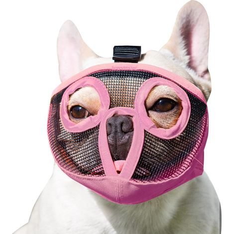 Muzzle Chien Courte Museau - Maille Respirante Réglable pour Bulldog Pug Boxer - Protection Bouche Sans Gêne Pour Mordre Ronger Lécher Toilettage - 1 Pièce (1/5)