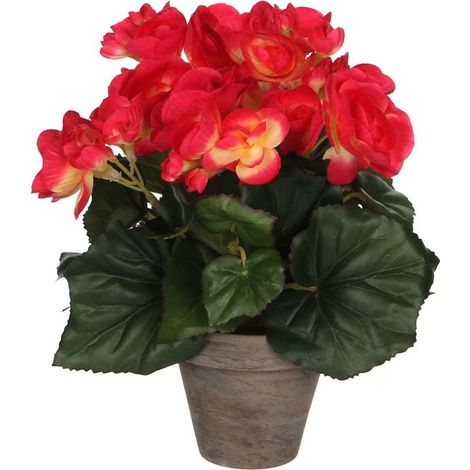 Mica Begonia im Topf dunkelrosa, 25 x 20 cm Kunstpflanzen