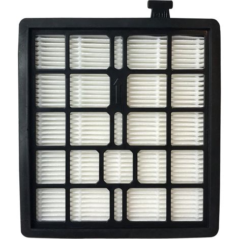 Filtre de rechange , compatible avec les aspirateurs Dirt Devil (F45) - Compatible avec les modèles Pet Canister SD4000 et EZ Lite Canister SD40010 (2KQ010700 et 2-KQ0107-000) F45 F-45 (1 paquet) (1/3)