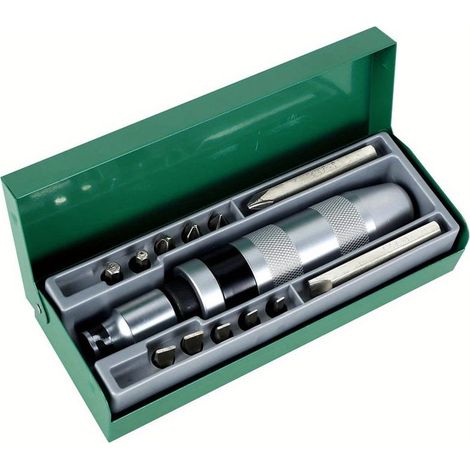 Coffret Professionnel 13 pièces Tournevis à Choc avec Burins et Extracteur de Vis en Acier Chrome Vanadium pour Réparations Mécaniques (1/5)