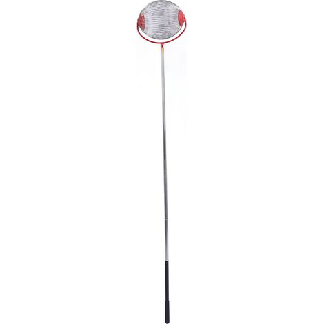 Cosechadora manual de frutos secos – Rodillo recolector multifuncional de alta capacidad para nueces, pacanas, castañas y bellotas – Acero inoxidable – Modelo grande (34 x 20 cm) con 2 accesorios (1/5)