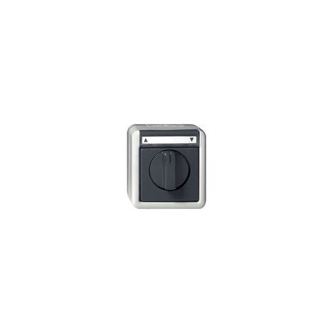 GIRA 015430 BOUTON-POUSSOIR/INTERRUPTEUR DE STORES UNIPOLAIRE AVEC ZONE D''''''''''''''''INSCRIPTION 10 A 250 V, AVEC PARTIE INFÉRIEURE