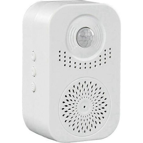Sonnette de bienvenue parlante avec détecteur de mouvement pour entrée de magasin, sonnette intelligente pour accès commercial, alarme de sécurité, sonnette extérieure pour la maison (1/5)
