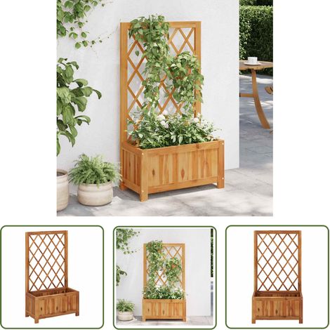 The Living Store Lit surélevé de jardin avec treillis Bois massif d'acacia - Jardiniere En Bois - Bac Plante - Pot De Fleurs Exterieur - Lit Surélevé Jardin - Treillage (1/5)