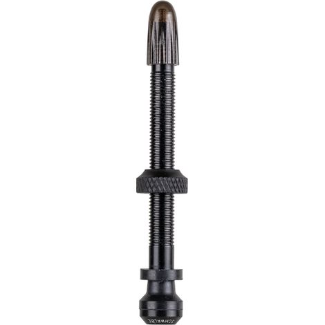 Valves Tubeless Vélo 60mm (x2) - Compatible Montage Sans Chambre à Air - Schwalbe