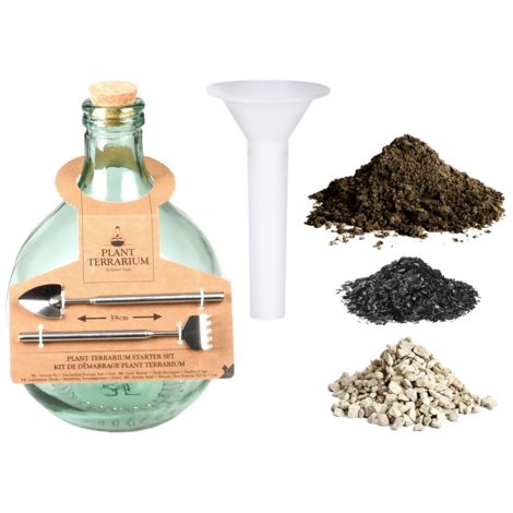 Set Starter Terrarium Fai da Te 5L Vetro Trasparente