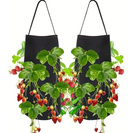 Sac de Culture Suspendu pour Fraises en Feutre - Lot de 2-lsw (1/5)