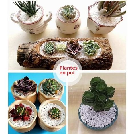 Galets Naturels - Pierre de Rivière Blanche - Pour Aquarium Jardin Pot de Fleurs - 0,9 à 1,2 cm - 1 kg (1/5)