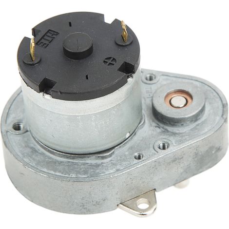 Motoréducteur CC à vis sans fin 100 tr/min fort couple réversible horaire anti-horaire 12V 48E520 (1/5)