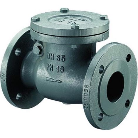 Bosch Accessori di installazione RK16-50 Valvola di ritegno PN 16 / DN 50, 7736602665
